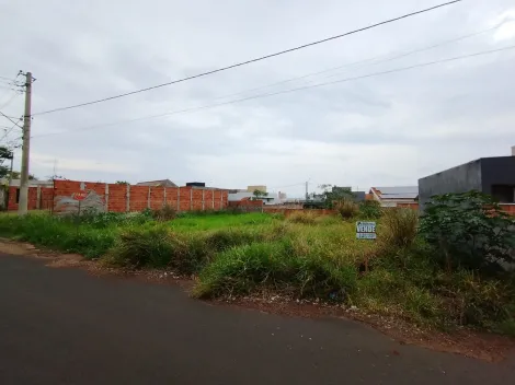 Comprar Terreno / Padr&atilde;o em Bady Bassitt R$ 110.000,00 - Foto 17