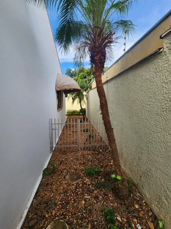 Alugar Casa / Padr&atilde;o em S&atilde;o Jos&eacute; do Rio Preto R$ 3.900,00 - Foto 26