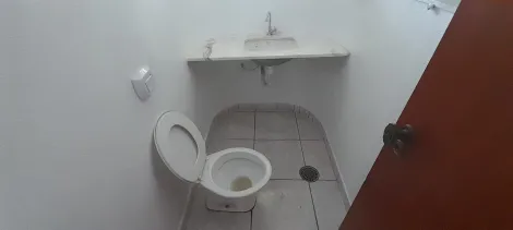 Alugar Casa / Padr&atilde;o em S&atilde;o Jos&eacute; do Rio Preto R$ 3.200,00 - Foto 7