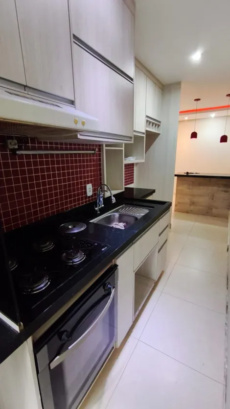 Alugar Apartamento / Padr&atilde;o em S&atilde;o Jos&eacute; do Rio Preto R$ 1.843,00 - Foto 3