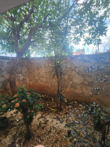 Alugar Casa / Sobrado em S&atilde;o Jos&eacute; do Rio Preto R$ 2.400,00 - Foto 30
