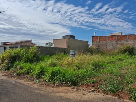 Comprar Terreno / Padr&atilde;o em Bady Bassitt R$ 64.000,00 - Foto 9