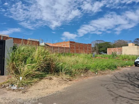 Comprar Terreno / Padr&atilde;o em Bady Bassitt R$ 64.000,00 - Foto 2
