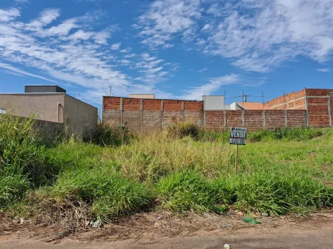 Comprar Terreno / Padr&atilde;o em Bady Bassitt R$ 64.000,00 - Foto 3