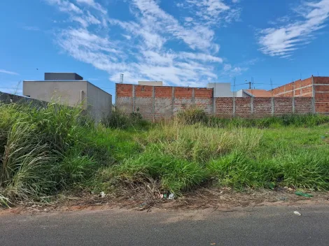 Alugar Terreno / Padr&atilde;o em Bady Bassitt. apenas R$ 64.000,00