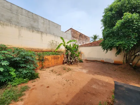 Alugar Casa / Padr&atilde;o em S&atilde;o Jos&eacute; do Rio Preto R$ 1.800,00 - Foto 12