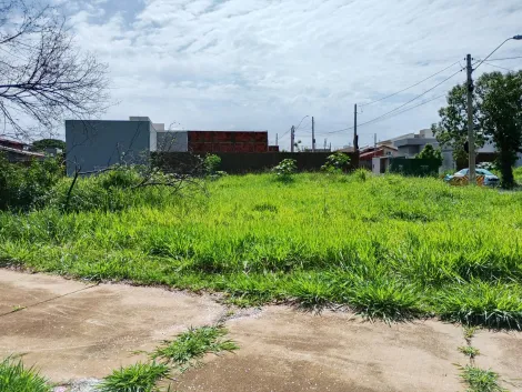 Comprar Terreno / Padr&atilde;o em S&atilde;o Jos&eacute; do Rio Preto R$ 198.000,00 - Foto 13