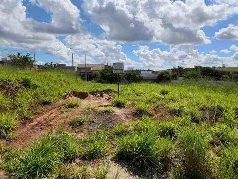 Alugar Terreno / Padr&atilde;o em S&atilde;o Jos&eacute; do Rio Preto. apenas R$ 140.000,00