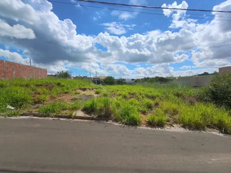 Comprar Terreno / Padr&atilde;o em S&atilde;o Jos&eacute; do Rio Preto R$ 140.000,00 - Foto 2