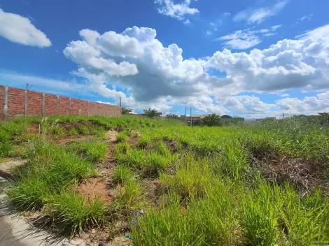 Comprar Terreno / Padr&atilde;o em S&atilde;o Jos&eacute; do Rio Preto R$ 140.000,00 - Foto 3