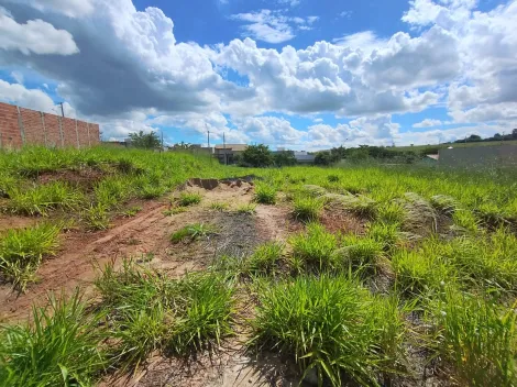 Comprar Terreno / Padr&atilde;o em S&atilde;o Jos&eacute; do Rio Preto R$ 140.000,00 - Foto 4