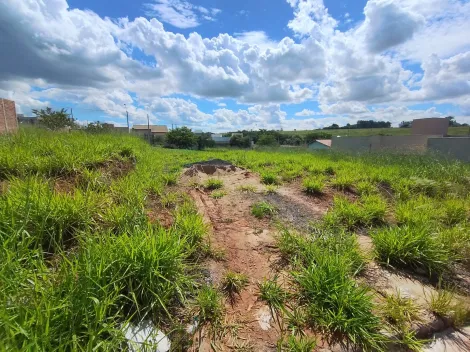 Comprar Terreno / Padr&atilde;o em S&atilde;o Jos&eacute; do Rio Preto R$ 140.000,00 - Foto 5