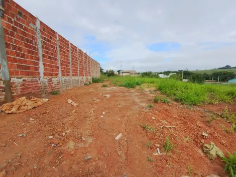 Comprar Terreno / Padr&atilde;o em S&atilde;o Jos&eacute; do Rio Preto R$ 120.000,00 - Foto 2