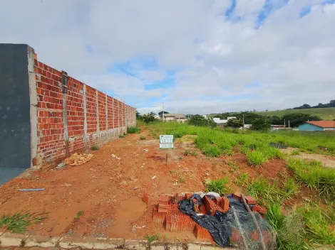 Comprar Terreno / Padr&atilde;o em S&atilde;o Jos&eacute; do Rio Preto R$ 120.000,00 - Foto 5