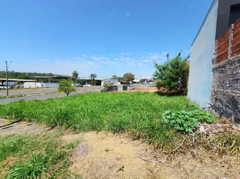 Comprar Terreno / Padr&atilde;o em S&atilde;o Jos&eacute; do Rio Preto R$ 425.000,00 - Foto 15