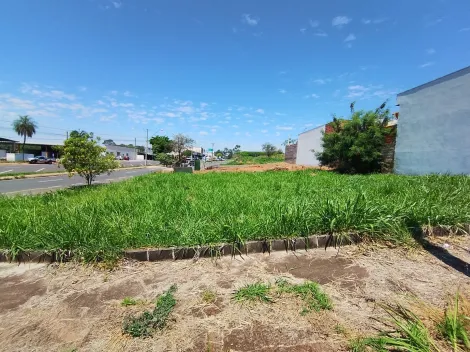 Comprar Terreno / Padr&atilde;o em S&atilde;o Jos&eacute; do Rio Preto R$ 425.000,00 - Foto 18