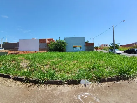 Comprar Terreno / Padr&atilde;o em S&atilde;o Jos&eacute; do Rio Preto R$ 425.000,00 - Foto 23