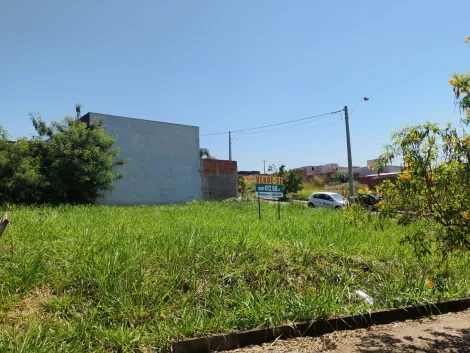 Comprar Terreno / Padr&atilde;o em S&atilde;o Jos&eacute; do Rio Preto R$ 425.000,00 - Foto 25
