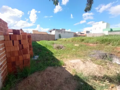 Comprar Terreno / Padr&atilde;o em S&atilde;o Jos&eacute; do Rio Preto R$ 130.000,00 - Foto 7