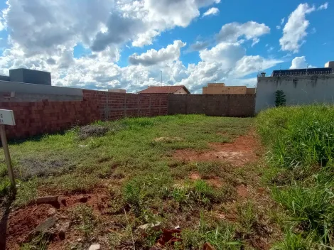 Comprar Terreno / Padr&atilde;o em S&atilde;o Jos&eacute; do Rio Preto R$ 130.000,00 - Foto 4