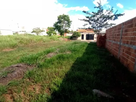 Comprar Terreno / Padr&atilde;o em S&atilde;o Jos&eacute; do Rio Preto R$ 130.000,00 - Foto 8