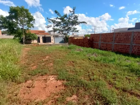 Comprar Terreno / Padr&atilde;o em S&atilde;o Jos&eacute; do Rio Preto R$ 130.000,00 - Foto 9