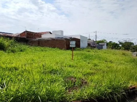 Comprar Terreno / Padr&atilde;o em S&atilde;o Jos&eacute; do Rio Preto R$ 135.000,00 - Foto 9