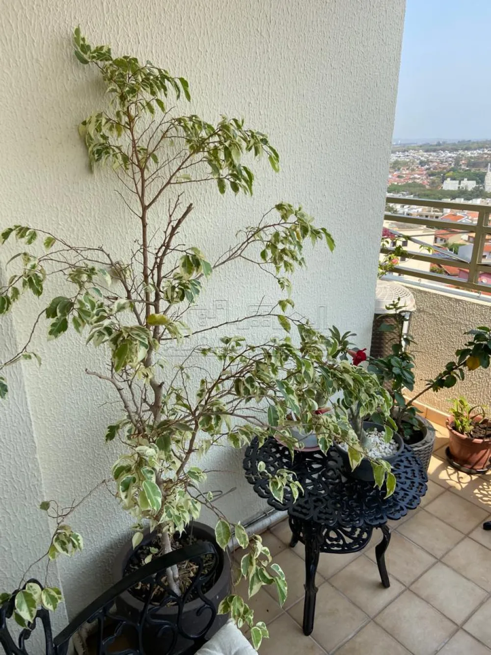 Alugar Apartamento / Padr&atilde;o em Bauru R$ 3.500,00 - Foto 9