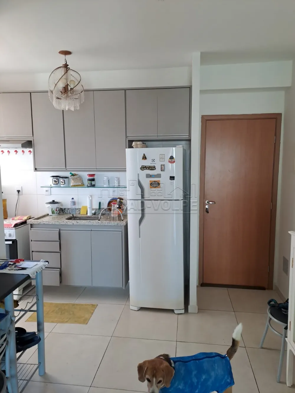 Comprar Apartamento / Padr&atilde;o em Bauru R$ 300.000,00 - Foto 1