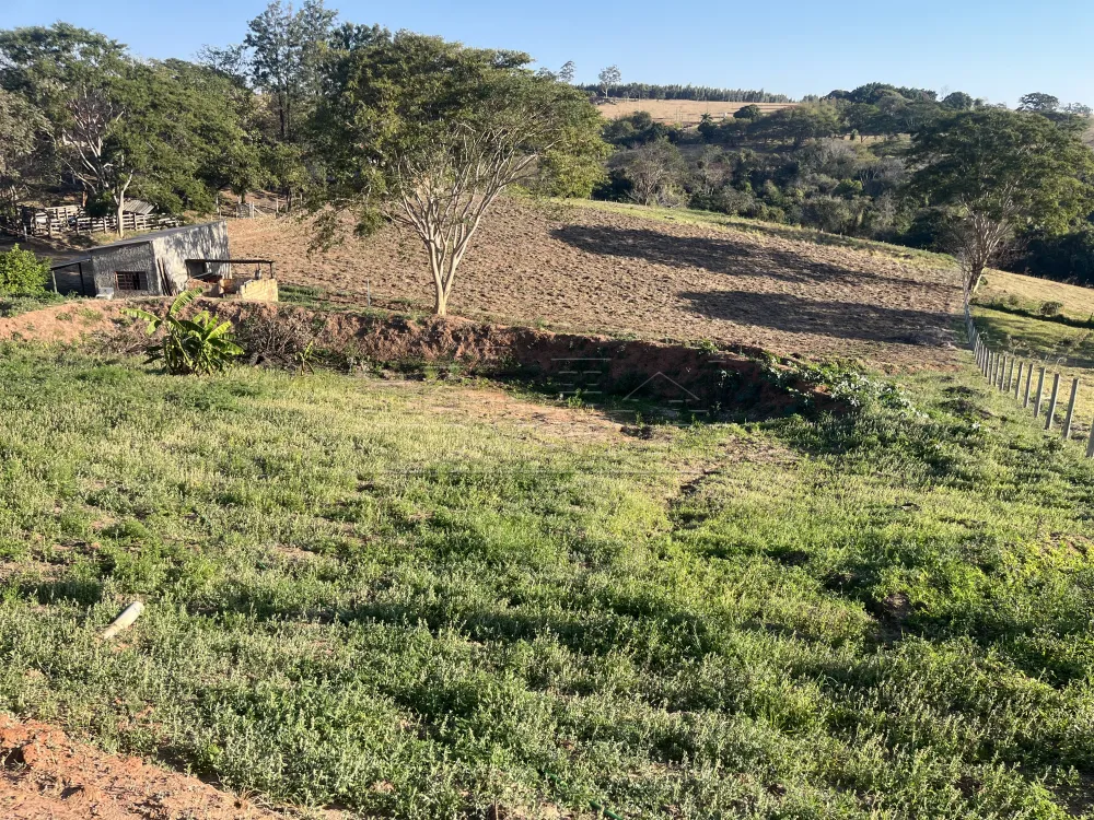 Comprar Rural / Ch&aacute;cara em Bauru R$ 1.200.000,00 - Foto 19
