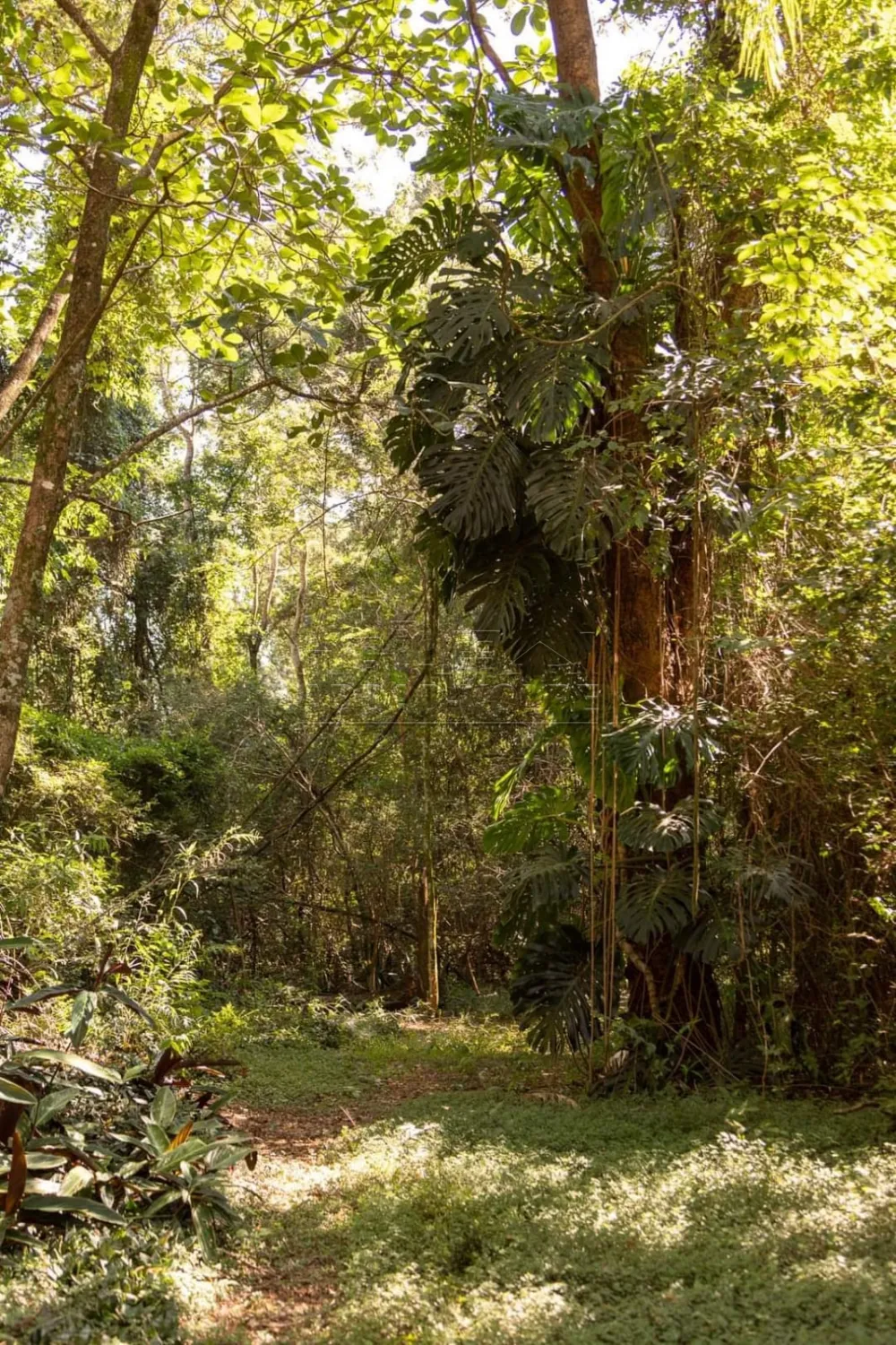 Comprar Terreno / Condom&iacute;nio em Arealva R$ 450.000,00 - Foto 7