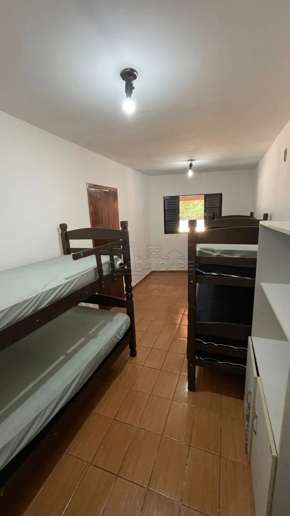 Alugar Rural / Ch&aacute;cara em Pederneiras R$ 2.500,00 - Foto 15