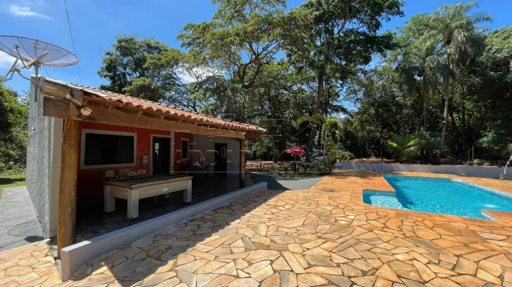 Alugar Rural / Ch&aacute;cara em Pederneiras R$ 2.500,00 - Foto 4