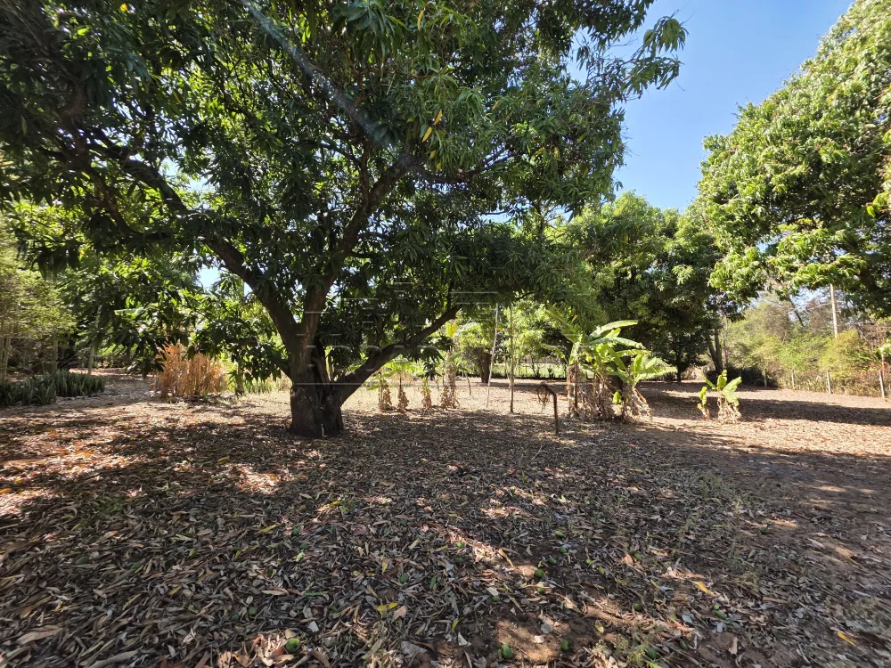 Comprar Rural / Ch&aacute;cara em Piratininga R$ 740.000,00 - Foto 13