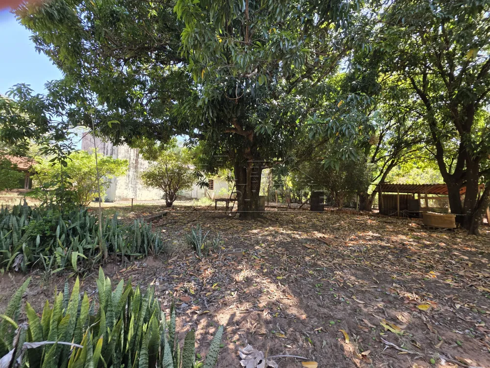 Comprar Rural / Ch&aacute;cara em Piratininga R$ 740.000,00 - Foto 15