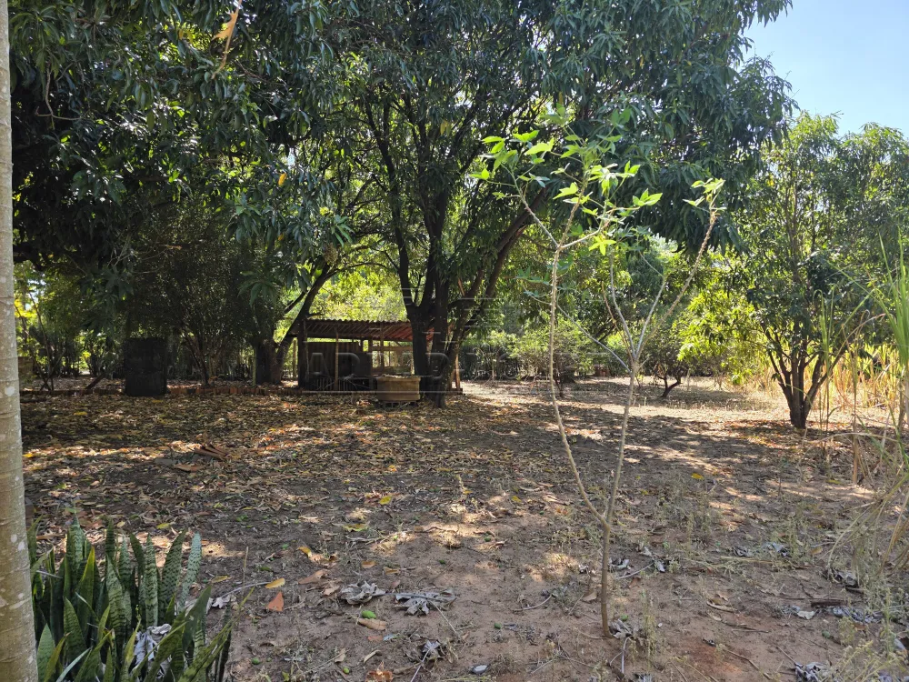 Comprar Rural / Ch&aacute;cara em Piratininga R$ 740.000,00 - Foto 16