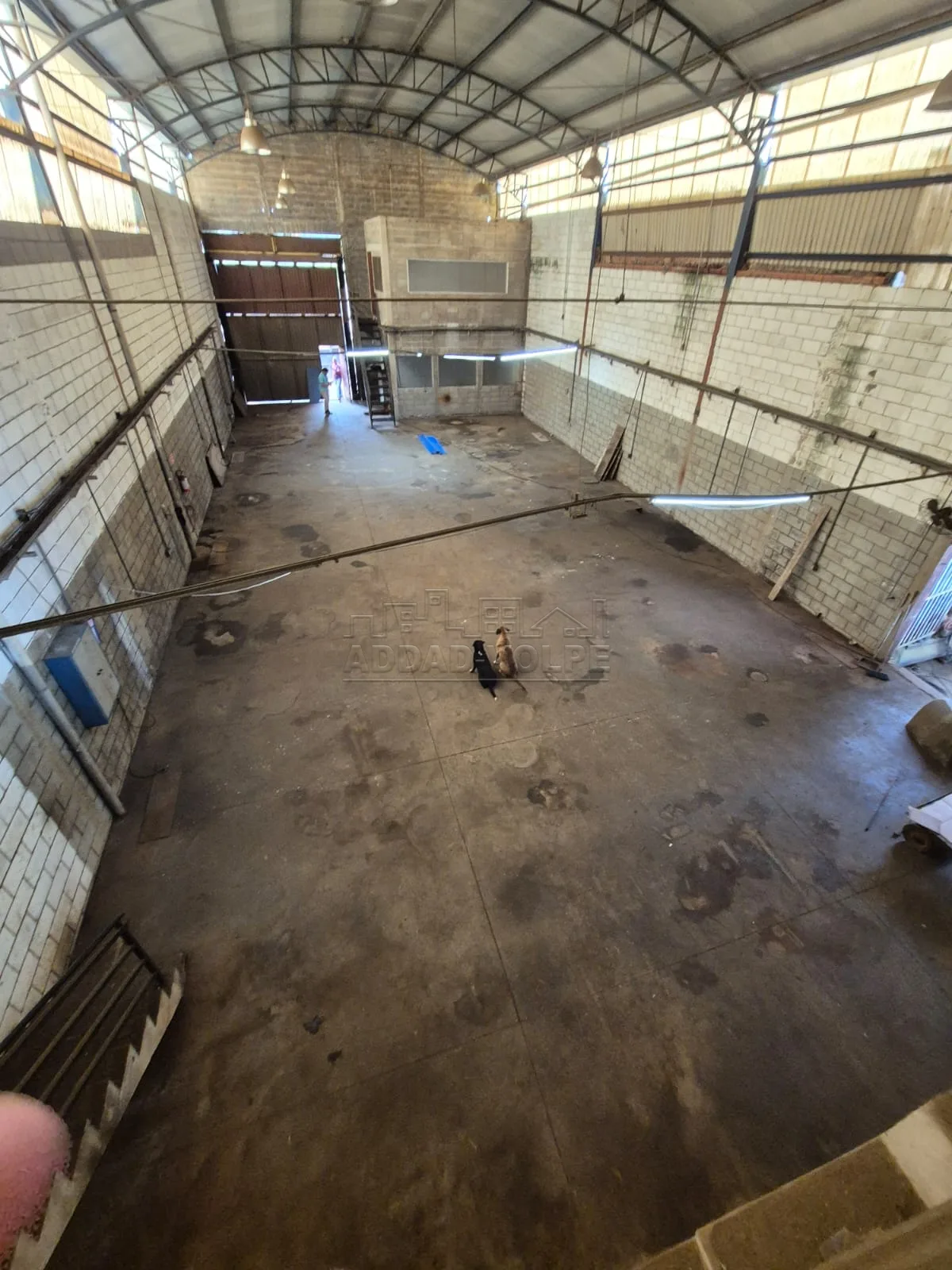 Alugar Comercial / Barrac&atilde;o em Bauru R$ 7.500,00 - Foto 5