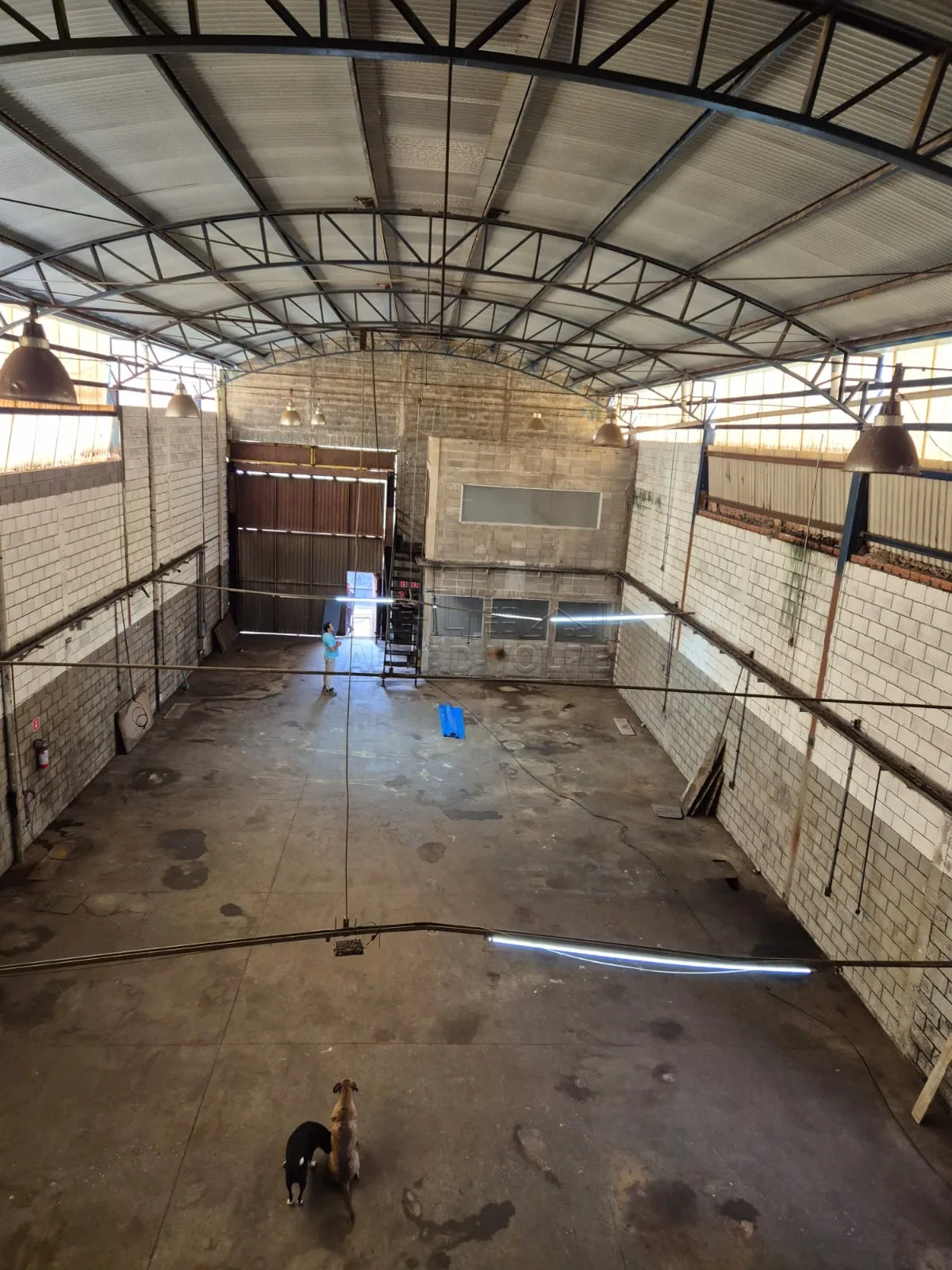 Alugar Comercial / Barrac&atilde;o em Bauru R$ 7.500,00 - Foto 6