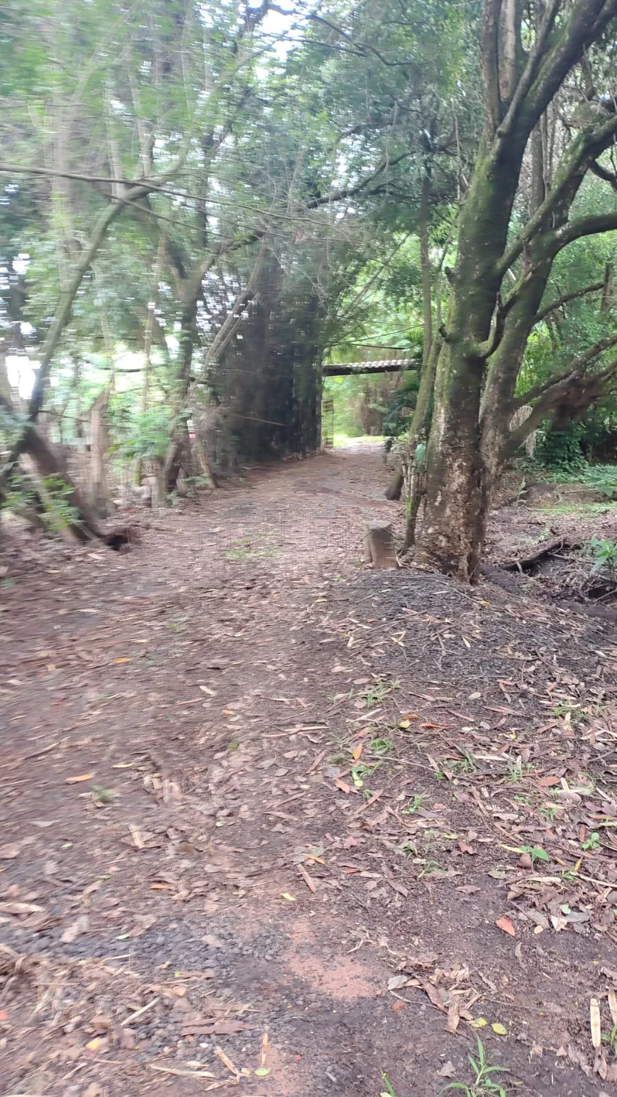 Comprar Rural / Ch&aacute;cara em Bauru R$ 1.200.000,00 - Foto 4