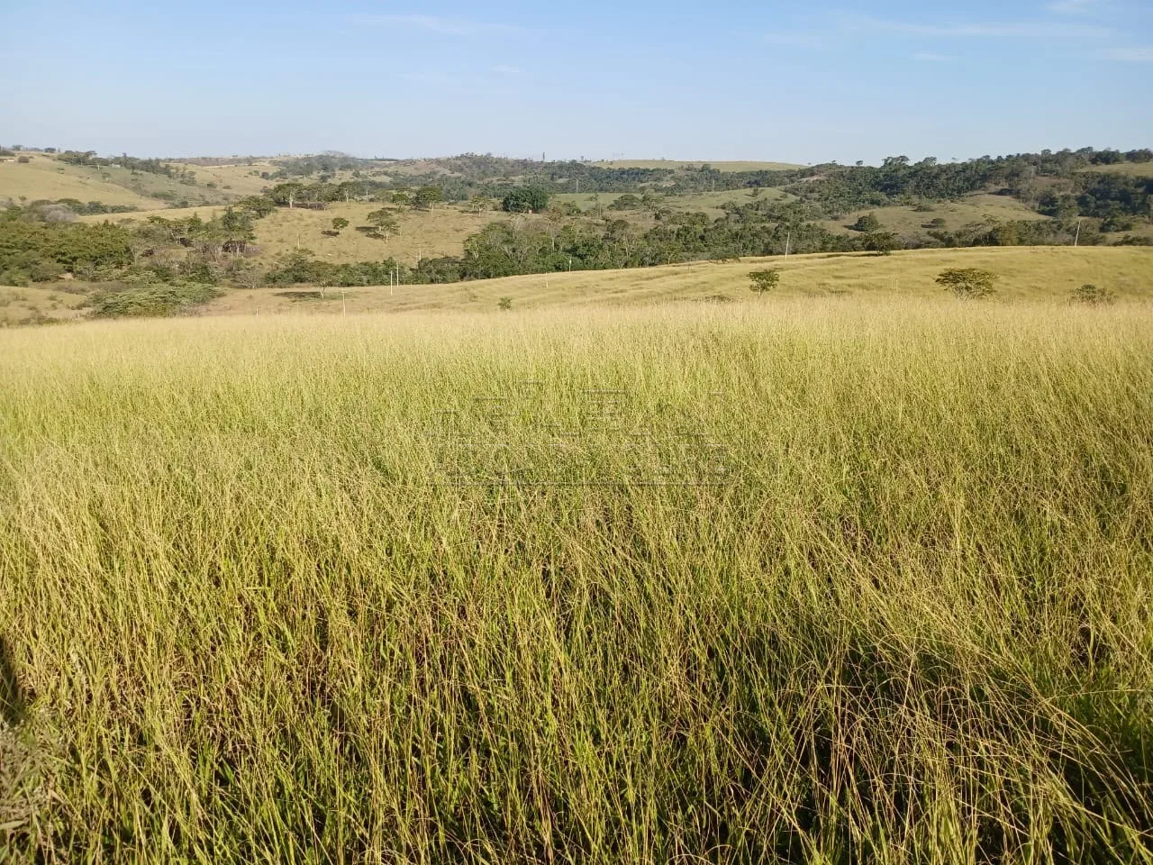 Comprar Terreno / &Aacute;rea em Ava&iacute; R$ 880.000,00 - Foto 2
