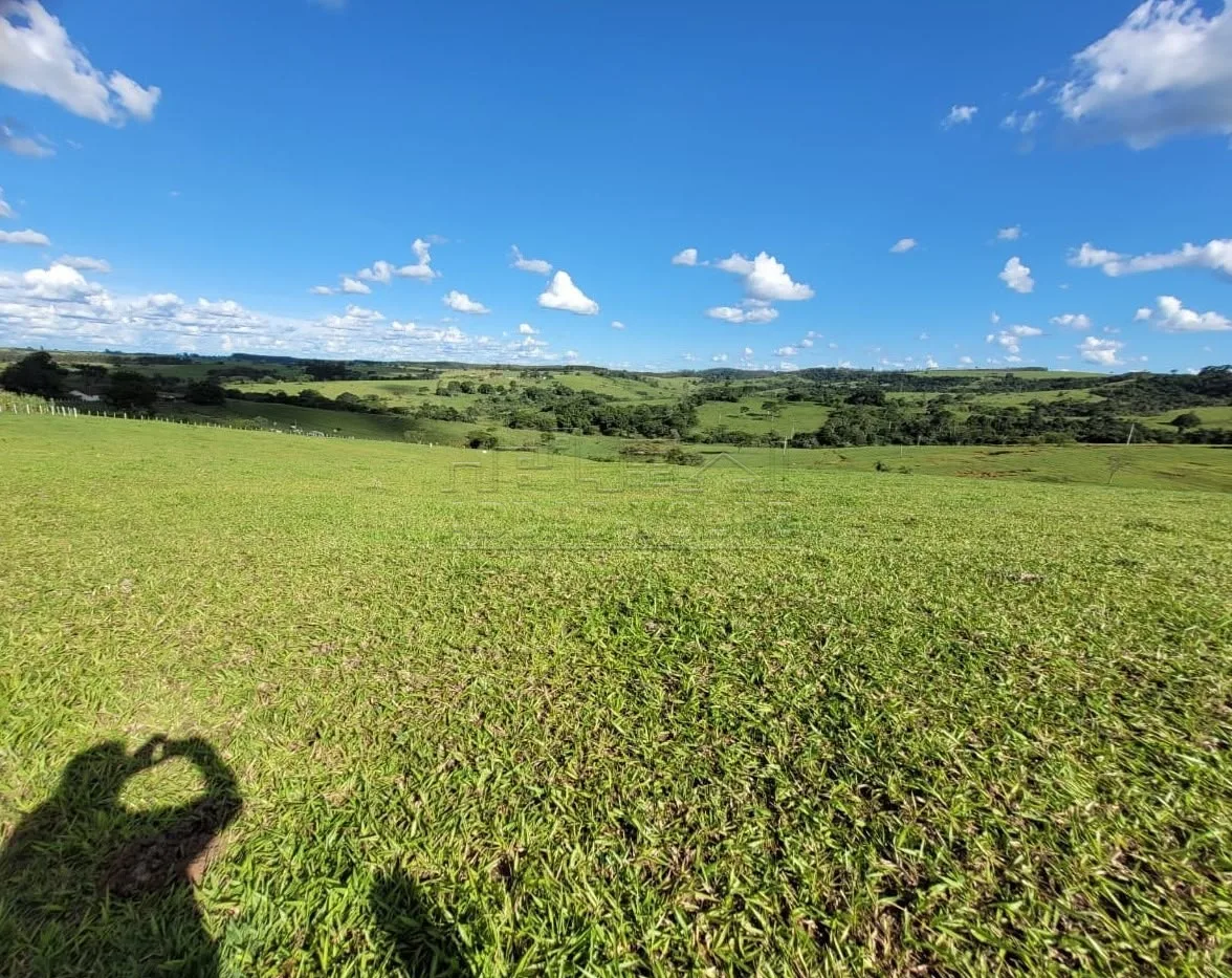 Comprar Terreno / &Aacute;rea em Ava&iacute; R$ 880.000,00 - Foto 3