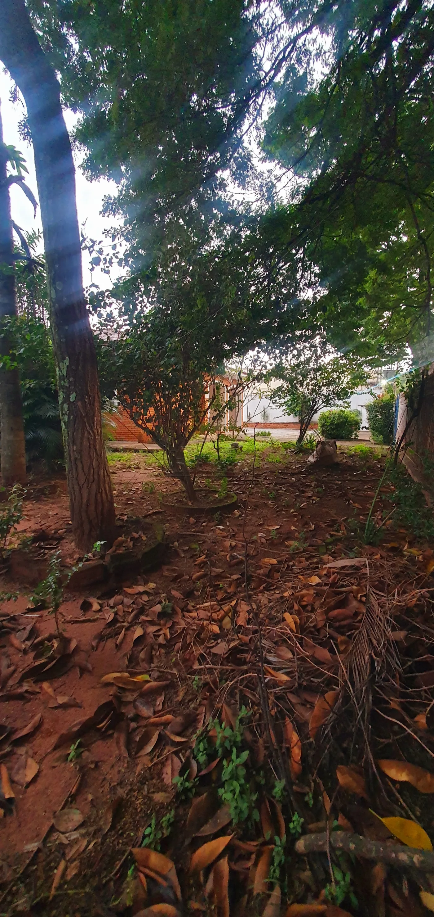 Comprar Casa / Padr&atilde;o em Bauru R$ 1.200.000,00 - Foto 13