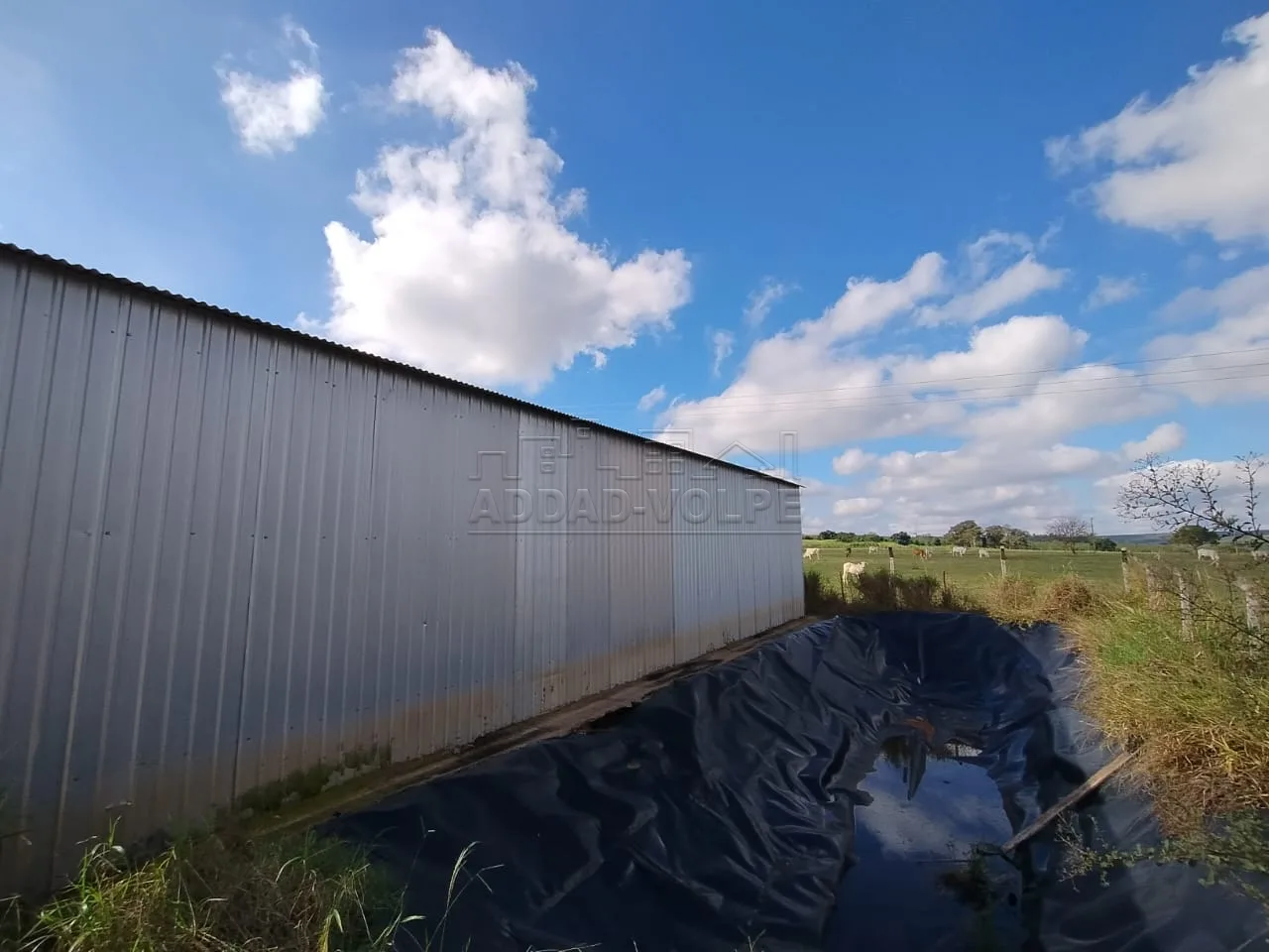 Comprar Rural / Ch&aacute;cara em Bauru R$ 350.000,00 - Foto 7