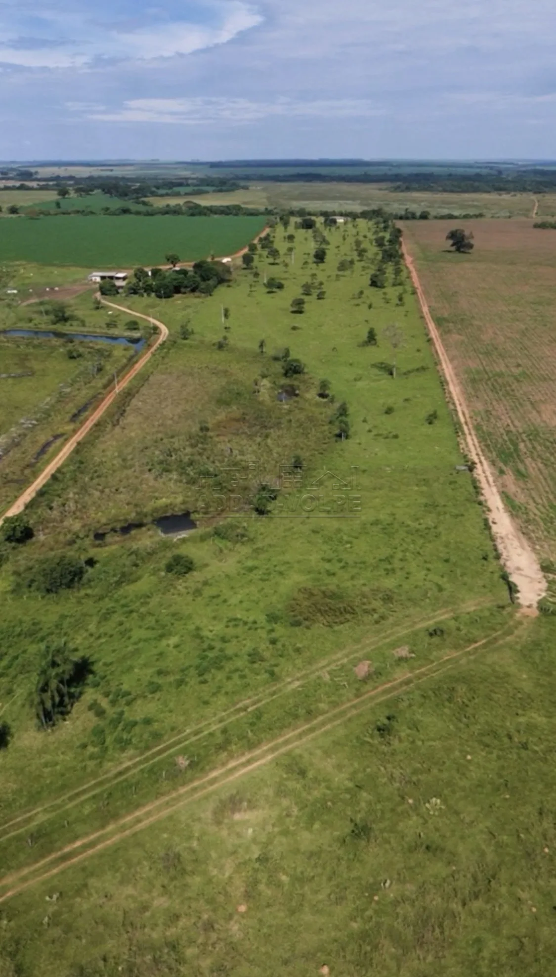 Comprar Rural / S&iacute;tio em Nova Andradina R$ 2.350.000,00 - Foto 3