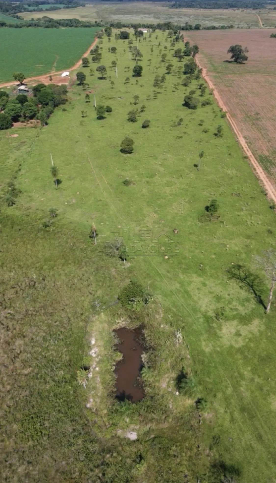 Comprar Rural / S&iacute;tio em Nova Andradina R$ 2.350.000,00 - Foto 7