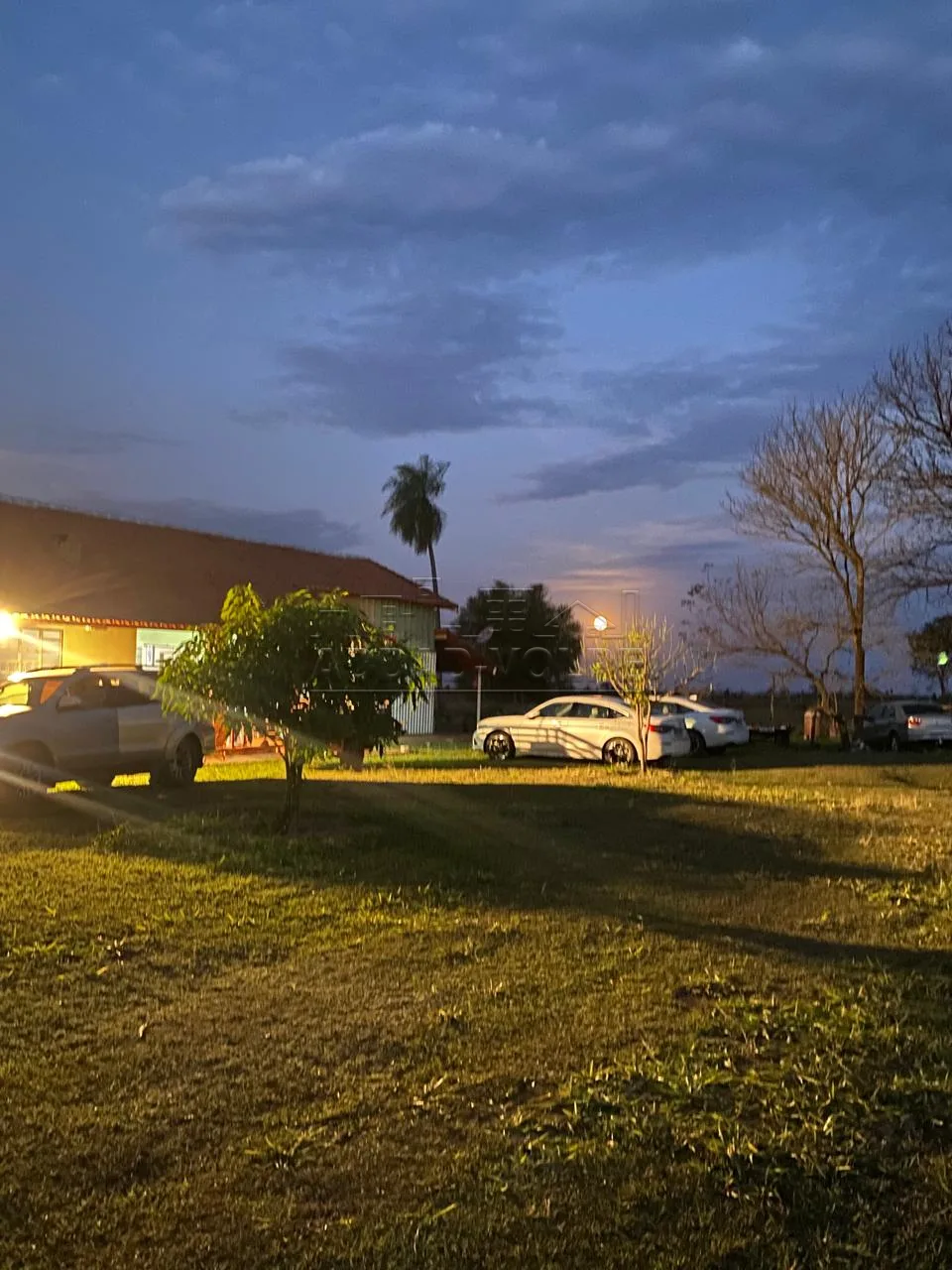 Comprar Rural / S&iacute;tio em Nova Andradina R$ 2.350.000,00 - Foto 1