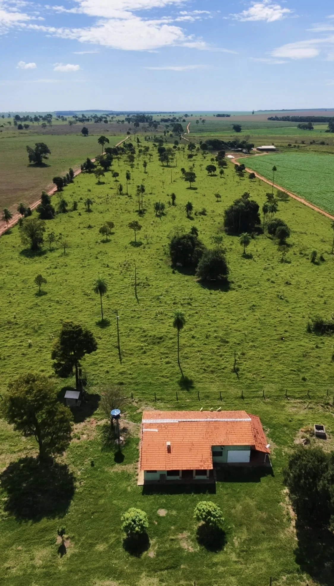 Comprar Rural / S&iacute;tio em Nova Andradina R$ 2.350.000,00 - Foto 2