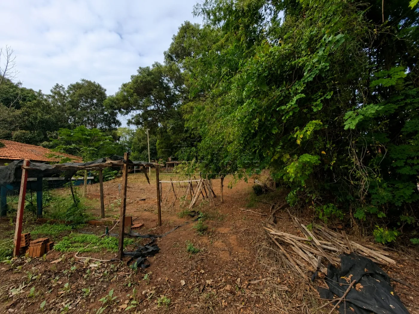 Comprar Rural / Ch&aacute;cara em Bauru R$ 3.500.000,00 - Foto 17