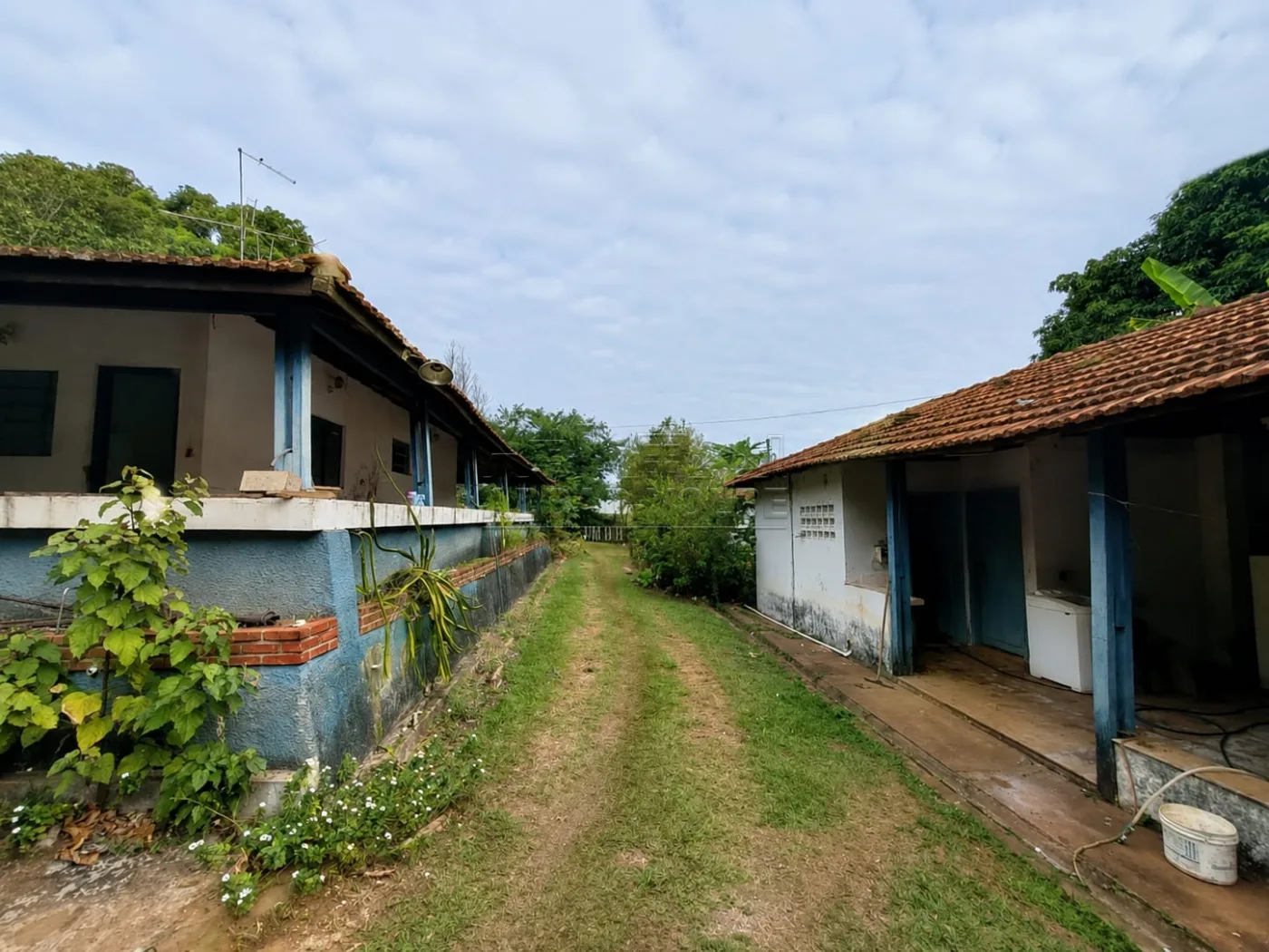 Comprar Rural / Ch&aacute;cara em Bauru R$ 3.500.000,00 - Foto 14