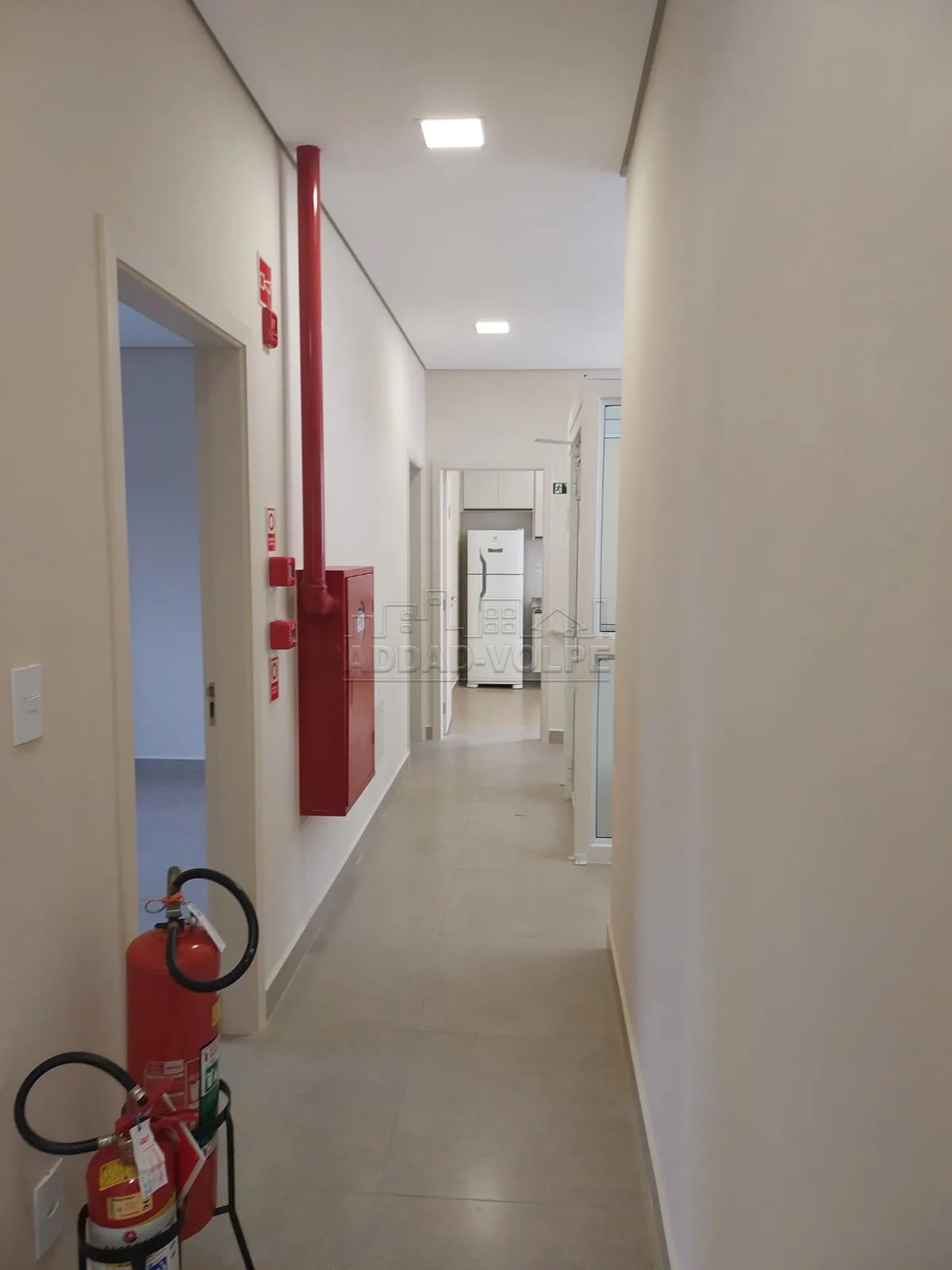 Alugar Comercial / Sala em Bauru R$ 1.450,00 - Foto 4